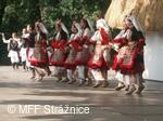 Mezinárodní folklorní festival Strážnice