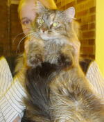 Z vernisáže výstavy Zvířecích miláčků