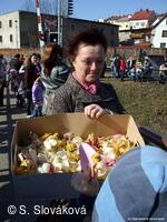 * Z DĚNÍ VE MĚSTĚ