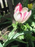 Kancelář vedení města