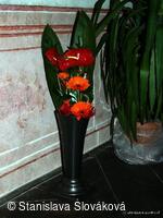 * Z DĚNÍ VE MĚSTĚ