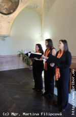 * Z DĚNÍ VE MĚSTĚ